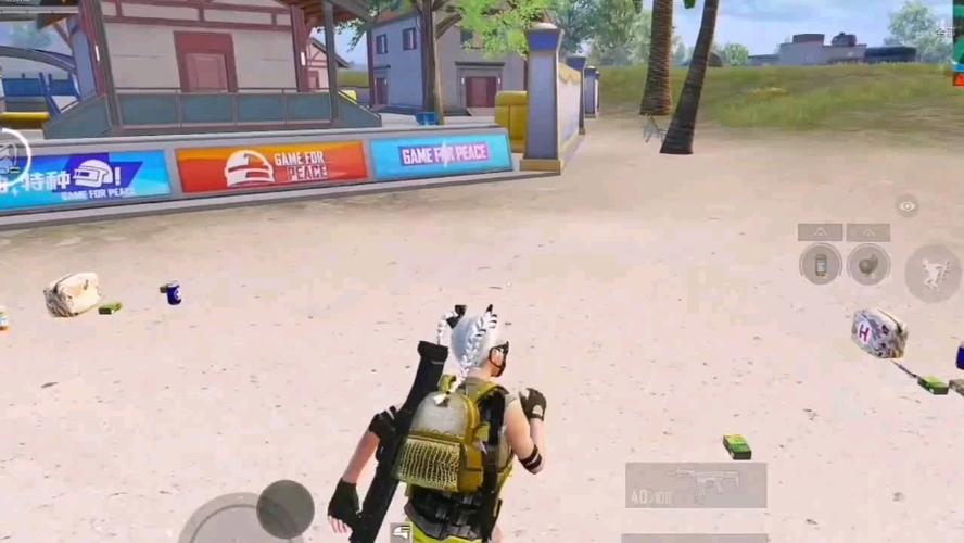 和平精英《独行者》外挂